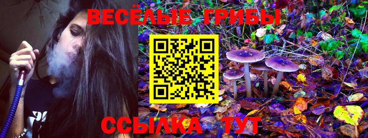 Псилоцибиновые грибы мухоморы  Вход с VPN  где продают наркотики  Димитровград 